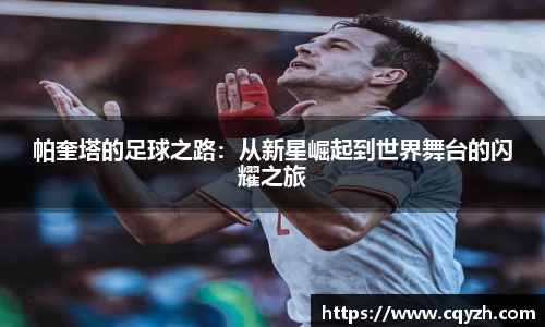 DG视讯官网